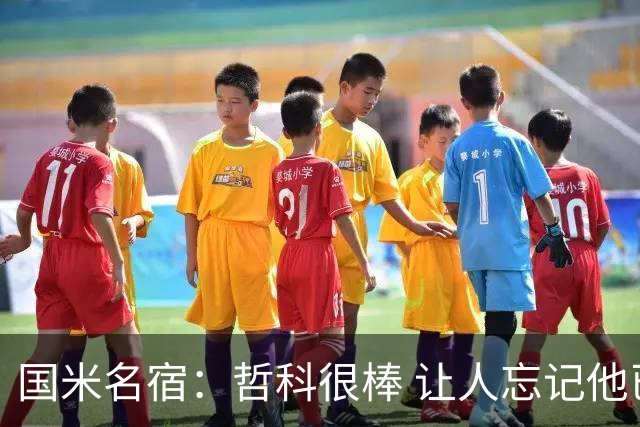国米名宿：哲科很棒 让人忘记他已经这么大年纪
